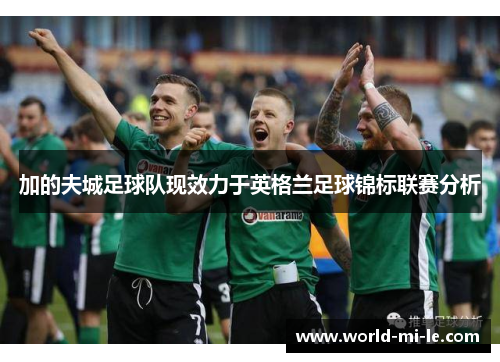 加的夫城足球队现效力于英格兰足球锦标联赛分析